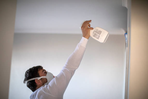 Best Residential Mold Removal  in Gate City, VA