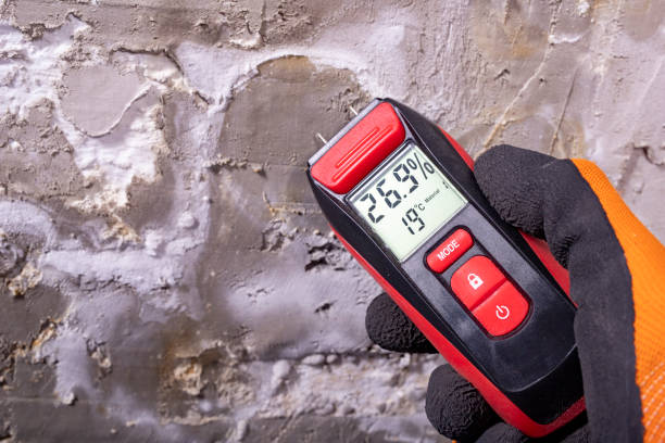 Best Local Mold Removal Service  in Gate City, VA